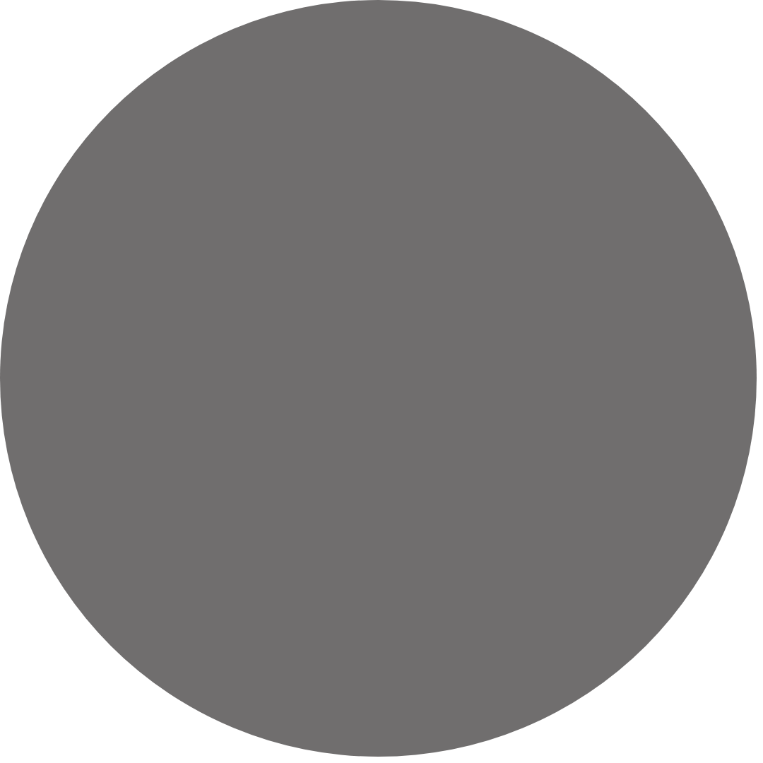 Gray Polar Lenses