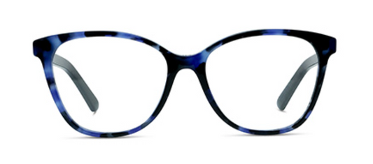 DiorSpiritO B2I